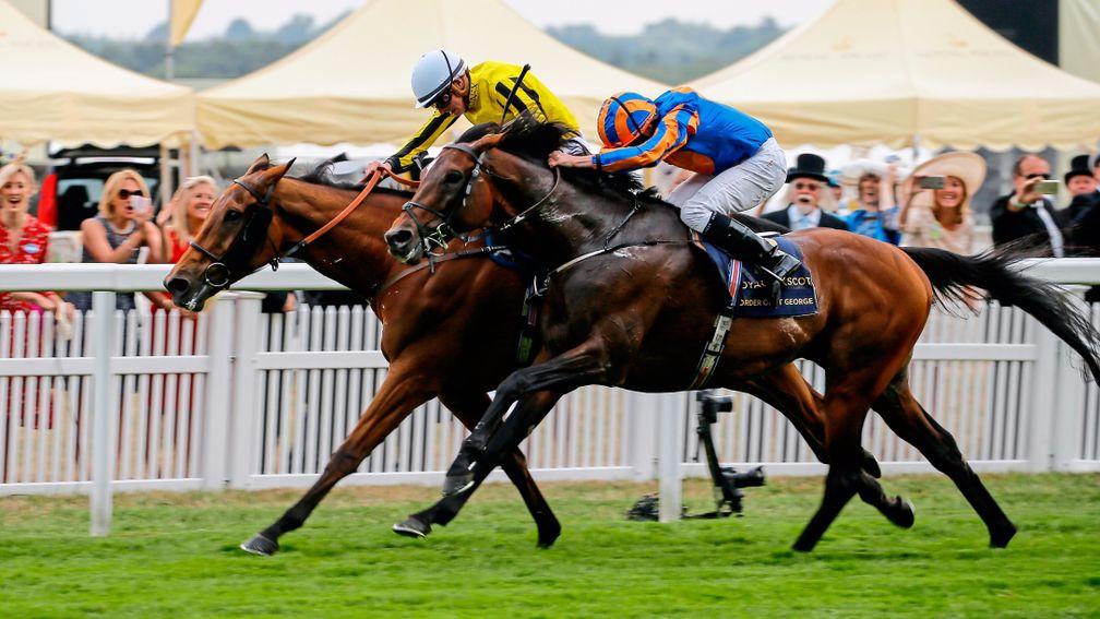 Order Of St George (blue) was narrowly beaten in the Ascot Gold Cup last tiime