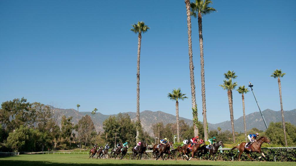 Runners in the 2012 Breeders' Cup Sprint gallop around the bend at Santa Anita