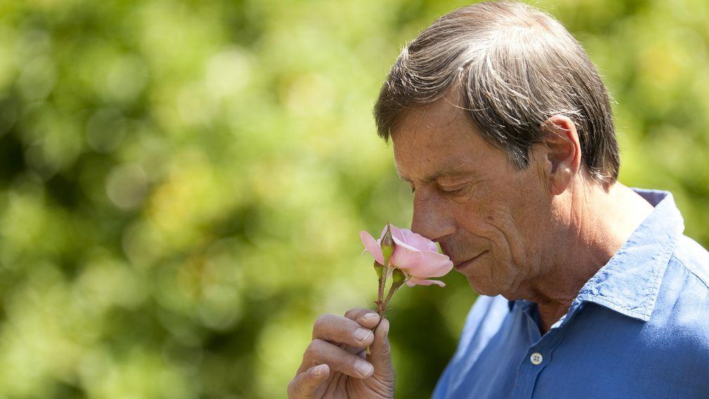 Sir Henry Cecil pictured in the gardens at Warren Place in Newmarket in June 2010
