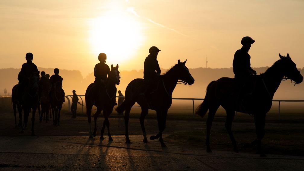 Newmarket gallops: it costs a trainer £140 per horse to use the facilities at headquarters