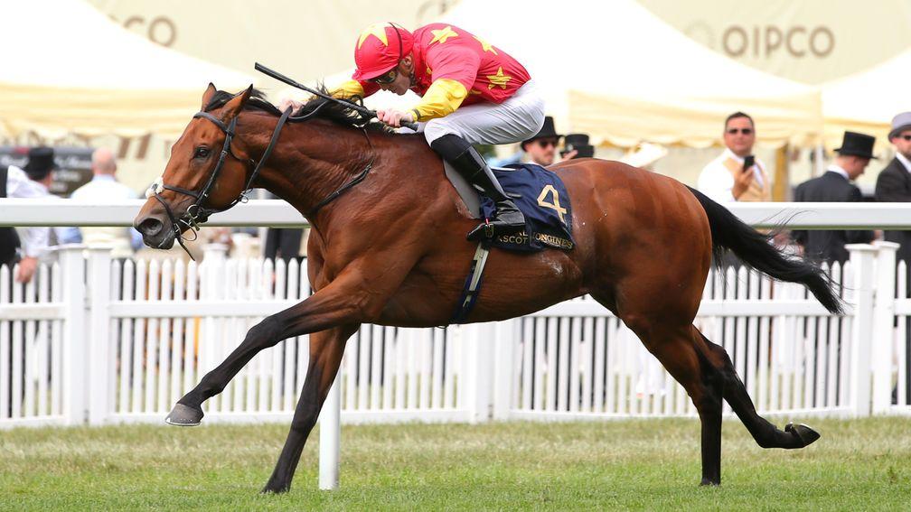 State Of Rest: Prince of Wales's winner will not travel to Australia