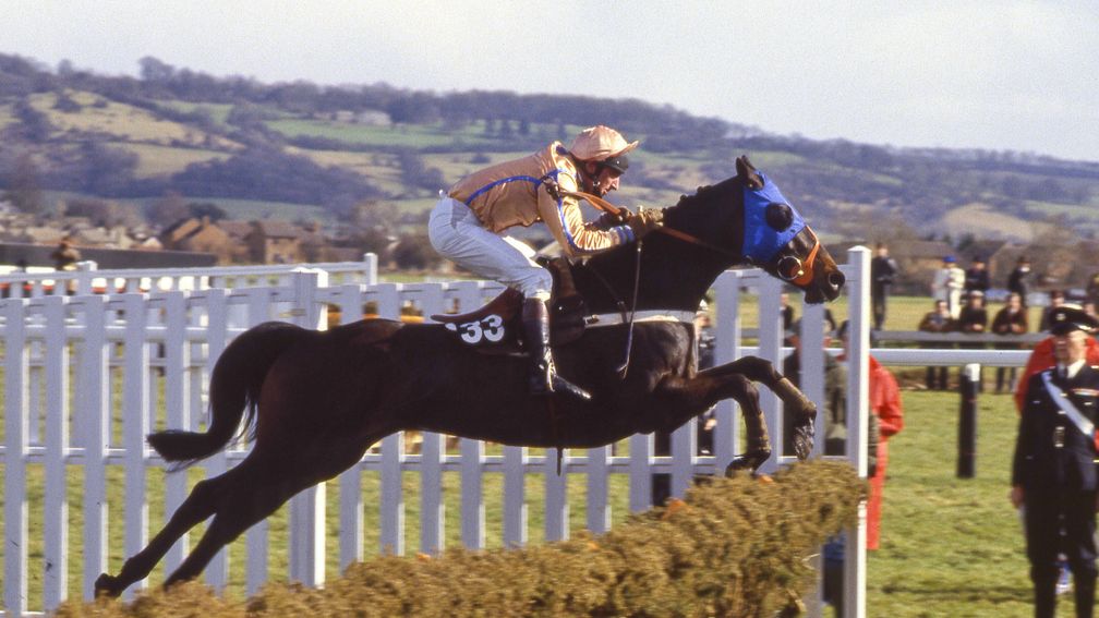 The West Awake gets Sherwood off to a flier by winning the Sun Alliance Hurdle at Cheltenham in 1987