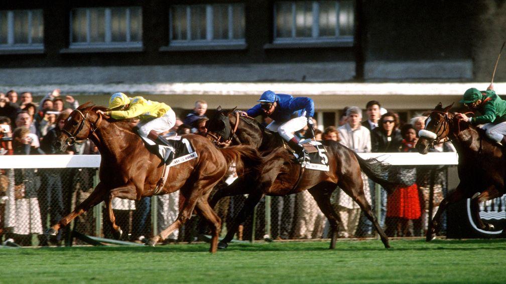 Carroll House surges to victory under Kinane in the 1989 Prix de l'Arc de Triomphe at Longchamp