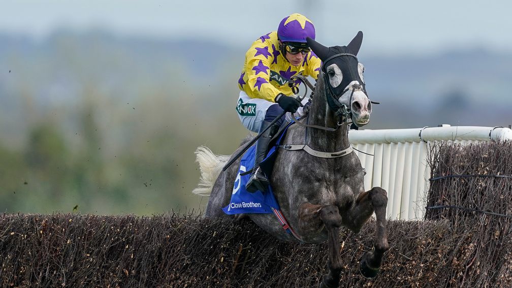 Il Etait Temps: jumps the last before winning the Manifesto Novices' Chase