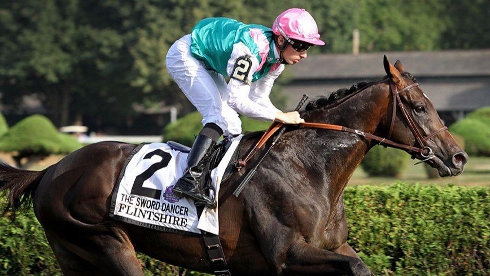 Flintshire: off the mark as a sire at Gowran