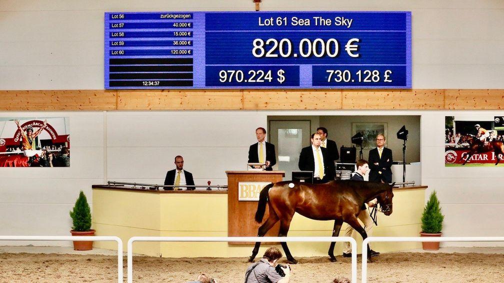 Sea The Sky, pictured at last year's BBAG September Yearling Sale, made a winning debut at Chantilly