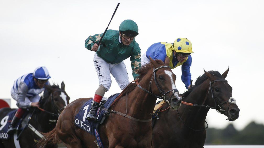 Irish Champion Stakes winner Decorated Knight has been a flag-bearer for the operation