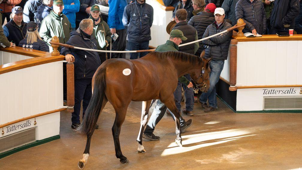 Never Ending in the sales ring at Tattersalls before making 825,000gns to Cheveley Park