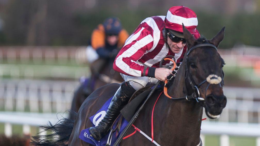 Paloma Blue: good second at Leopardstown in February
