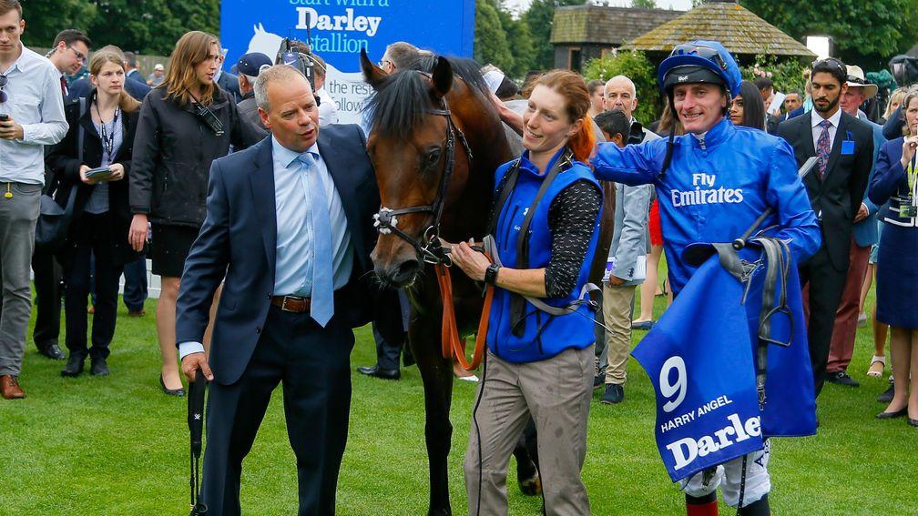 Harry Angel and connections