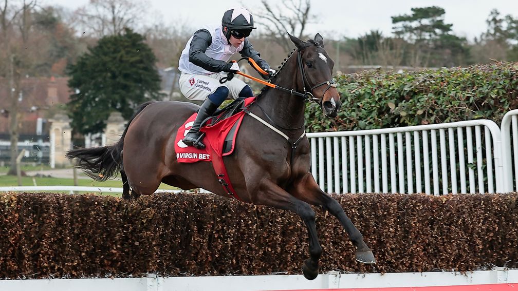 Gerri Colombe: a rare Scilly Isles winner for Ireland