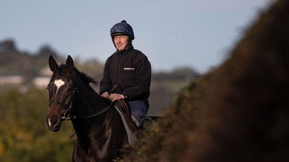 Appreciate It: between 6-1 and 8-1 second-favourite for the Champion Hurdle