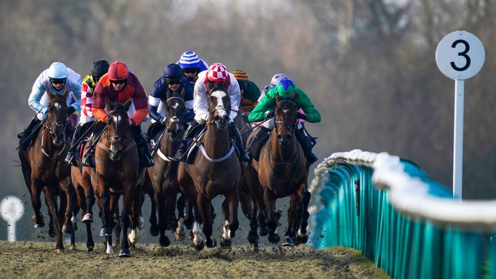 Lingfield: what is needed for punting success at the track?