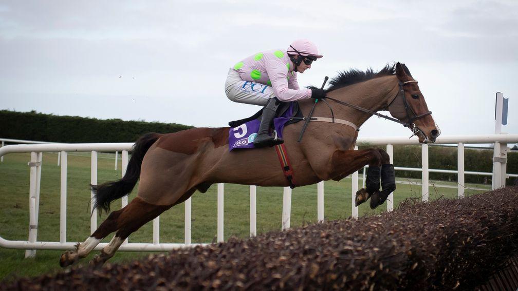 Faugheen: on his way to winning the Grade 1 Flogas Novice Chase at Leopardstown last month