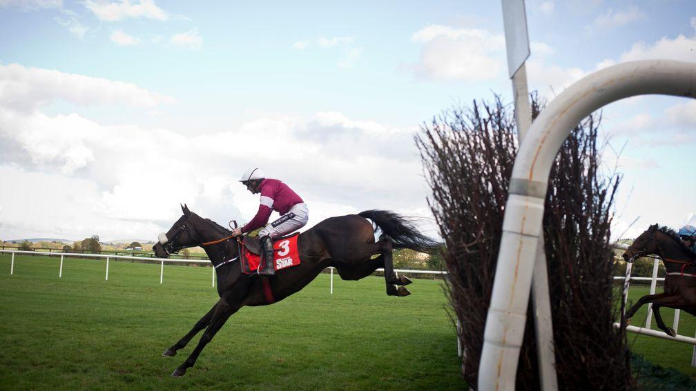 Lord Scoundrel: one of 14 runners for Gigginstown House Stud in the Irish Grand National