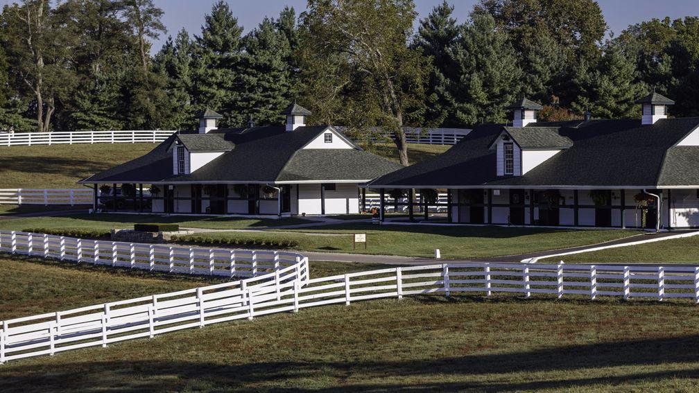 Darby Dan: the home of 12 stallions