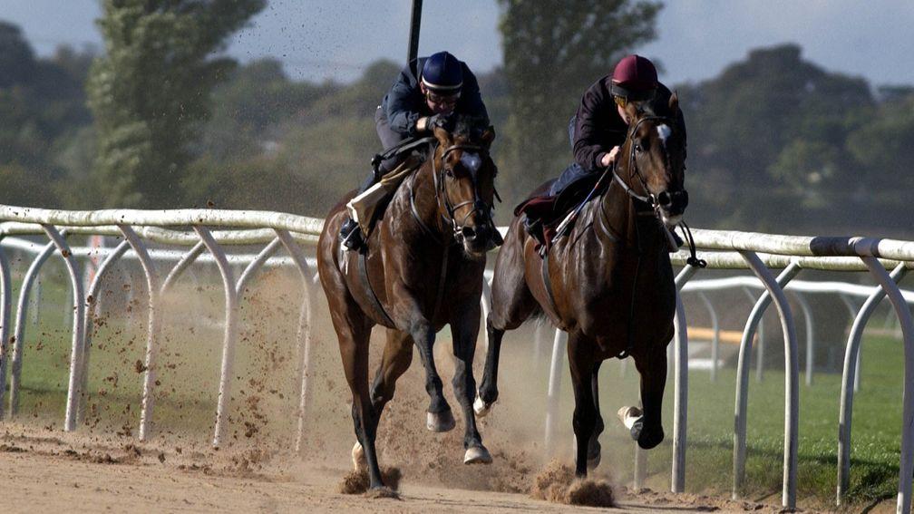 Aidan O'Brien is not averse to giving US-bound runners a spin on the all-weather in Britain. Galileo (left) had a racecourse gallop at Southwell before running in the 2001 Breeders' Cup Classic