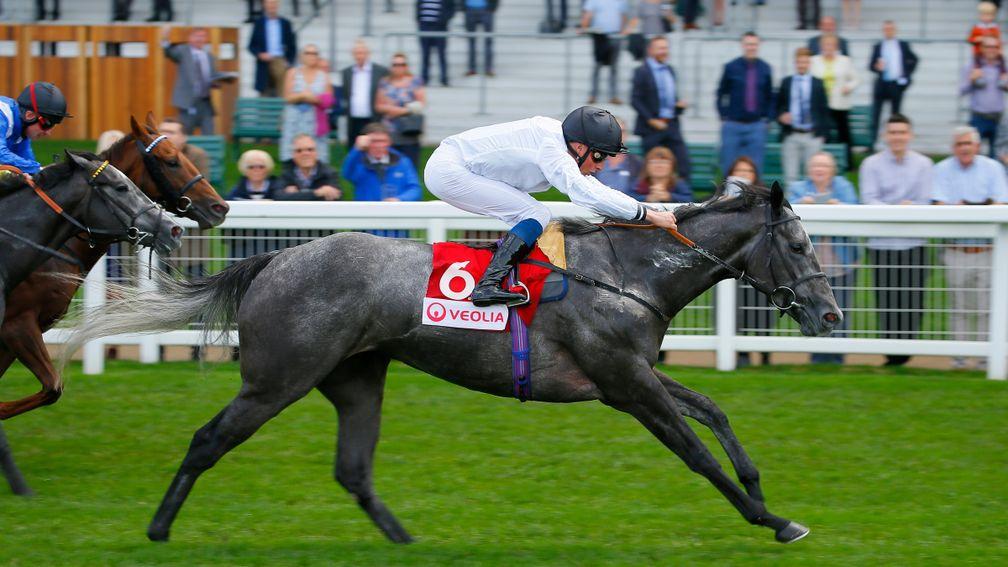 Lush Life: likely needs a win to get into the Royal Hunt Cup