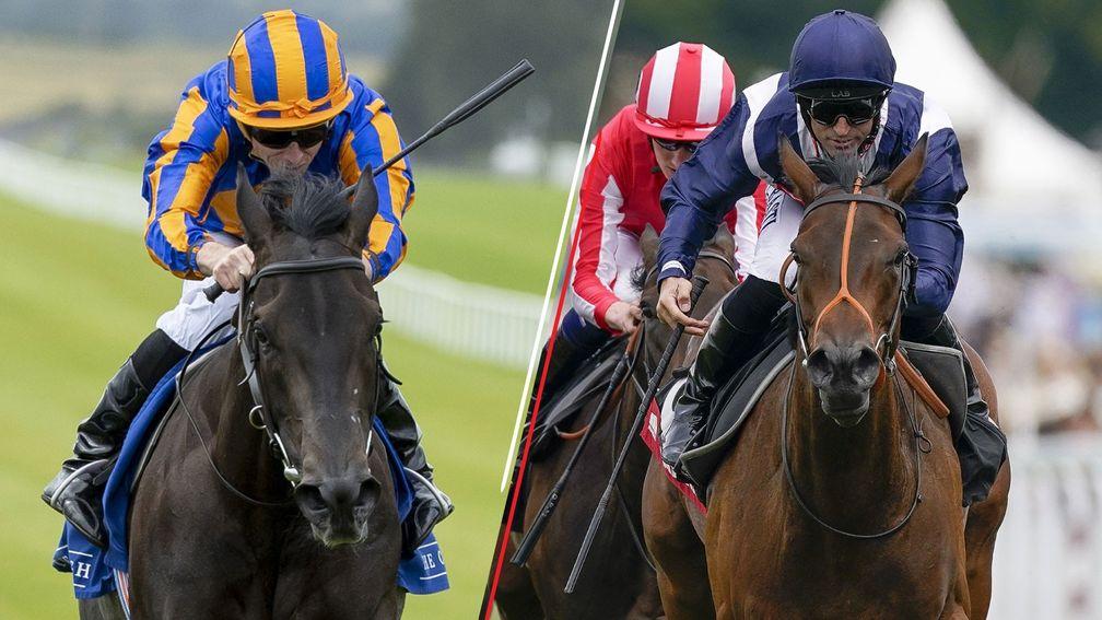Meditate (left) and Trillium: leading fancies for Saturday's Cheveley Park at Newmarket