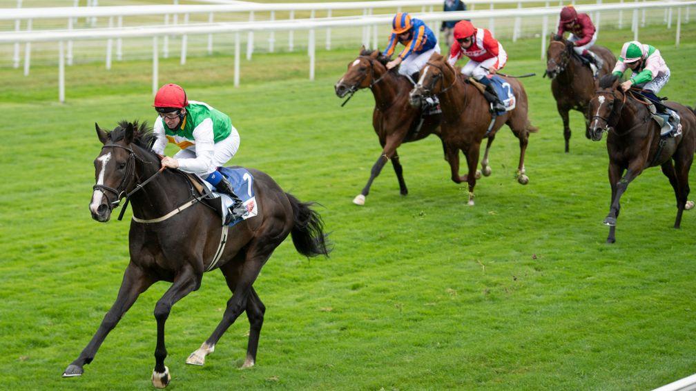 Pyledriver puts daylight between himself and his rivals in the Great Voltigeur at Yrok