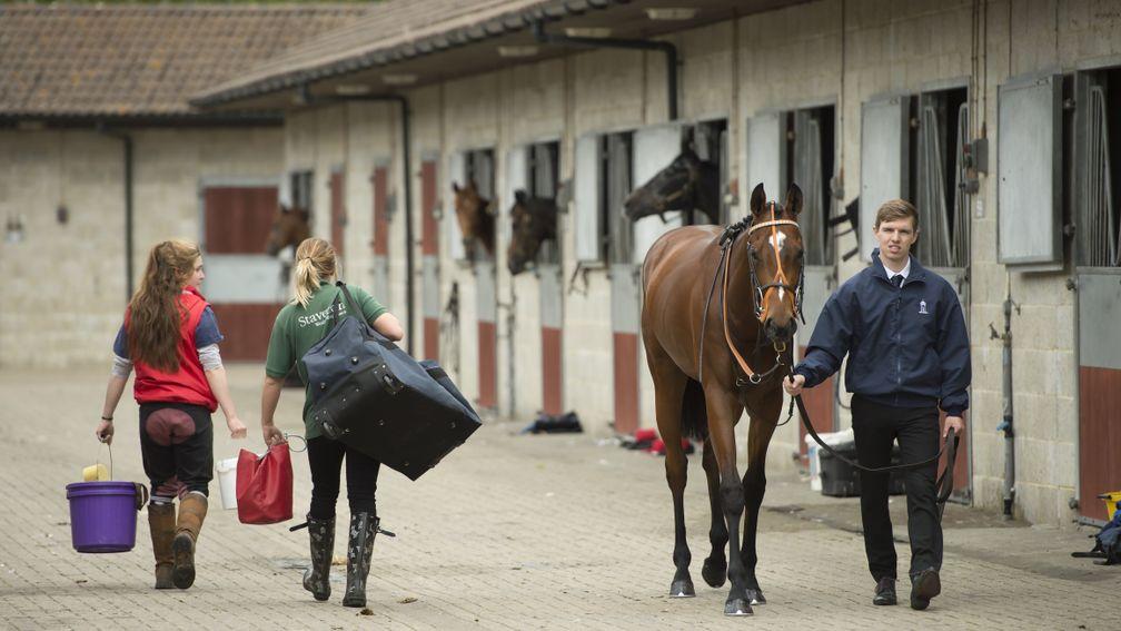 All people in racing are provided the opportunity to progress, says key industry group