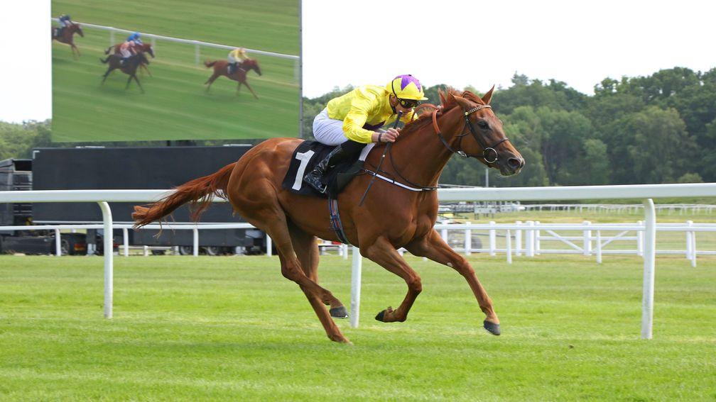 Sea Of Class runs out a two-length winner at Newbury