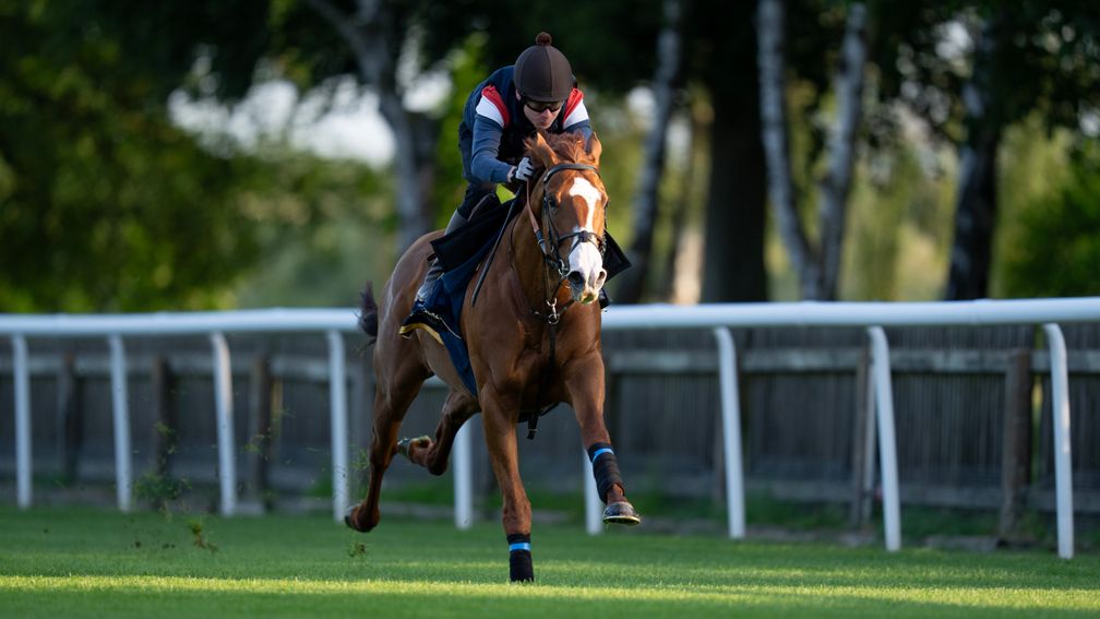 Carl Spackler (Jamie Spencer) gallops on the July Course