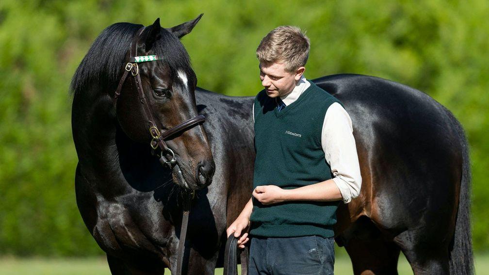 Bated Breath: Banstead Manor Stud resident could be in for a big 2022