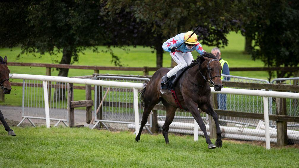 A Step Too Far goes up a total of 16lb for her two wins at Bellewstown