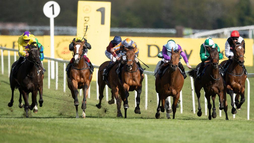 Sea Karats (yellow silks, left) finished third on her debut at Newbury last month