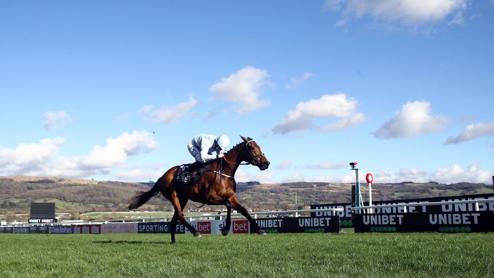 Out on their own: Rachael Blackmore and Honeysuckle were unstoppable with a 7lb allowance in the Champion Hurdle