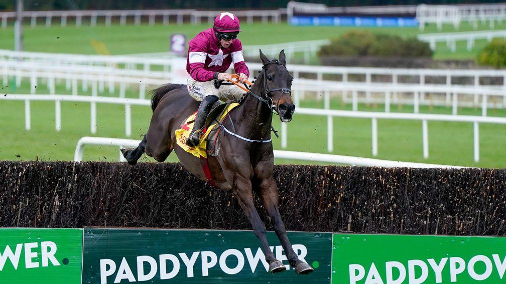 Conflated: Savills Chase winner is set to run in the Irish Gold Cup next