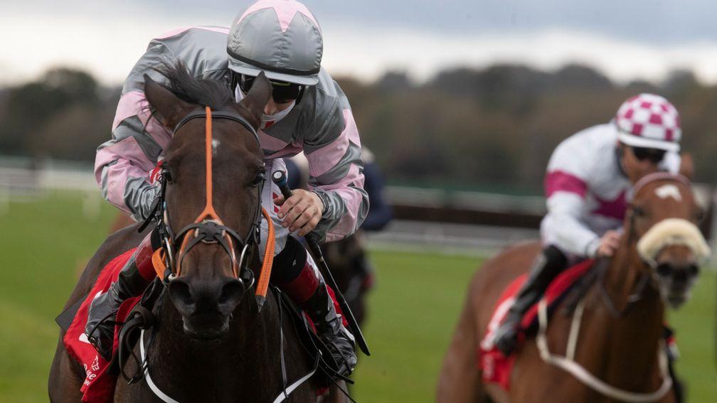 Starlight Dream: useful four-year-old must give weight to all rivals at Ballinrobe on Monday