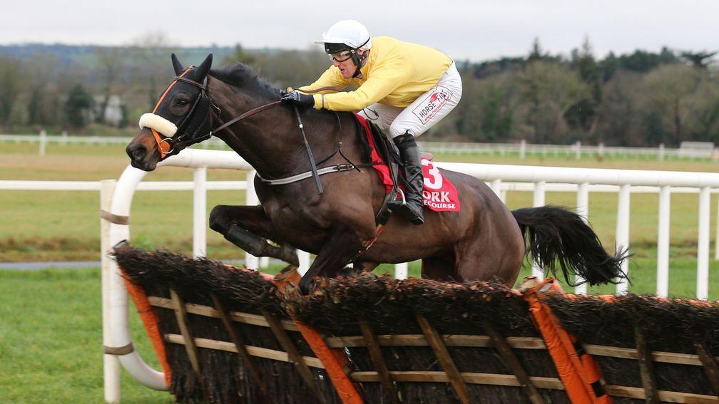 Walk To Freedom teams up with Robbie Power in the Killarney National