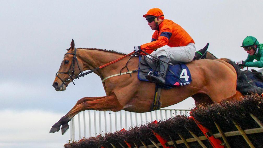 Sam Spinner and Joe Colliver deny Nicky Henderson's L'Ami Serge in the Long Walk Hurdle