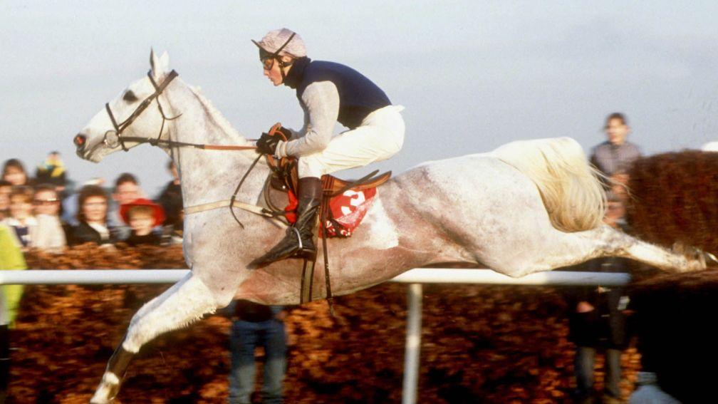 Desert Orchid soars over the last to land the 1989 King George at Kempton