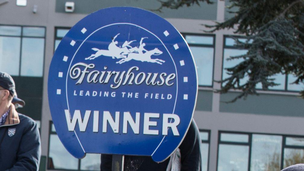 Fairyhouse: plays host to good racing along with Tramore on New Year's Day