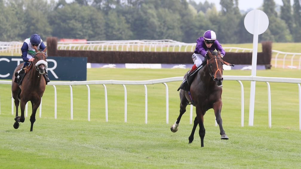 Mojo Star: an easy winner at Newbury this month