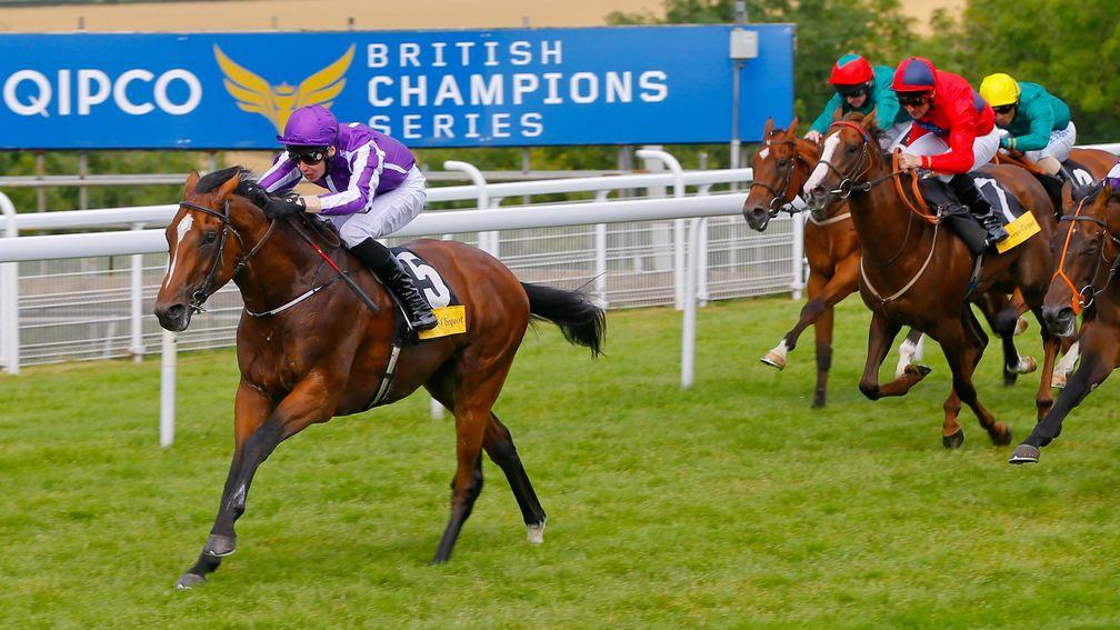 Highland Reel wins the 2014 Vintage Stakes