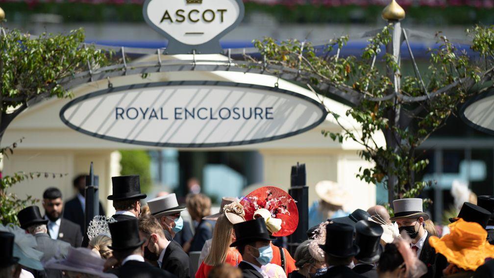 Officials at Ascot are hoping for a crowd of up to 14,500 for King George day