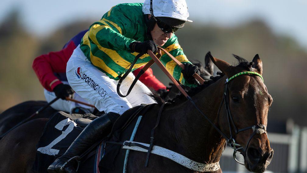 Champ: Cheltenham Gold Cup hope is making his return over a much shorter trip in the Game Spirit