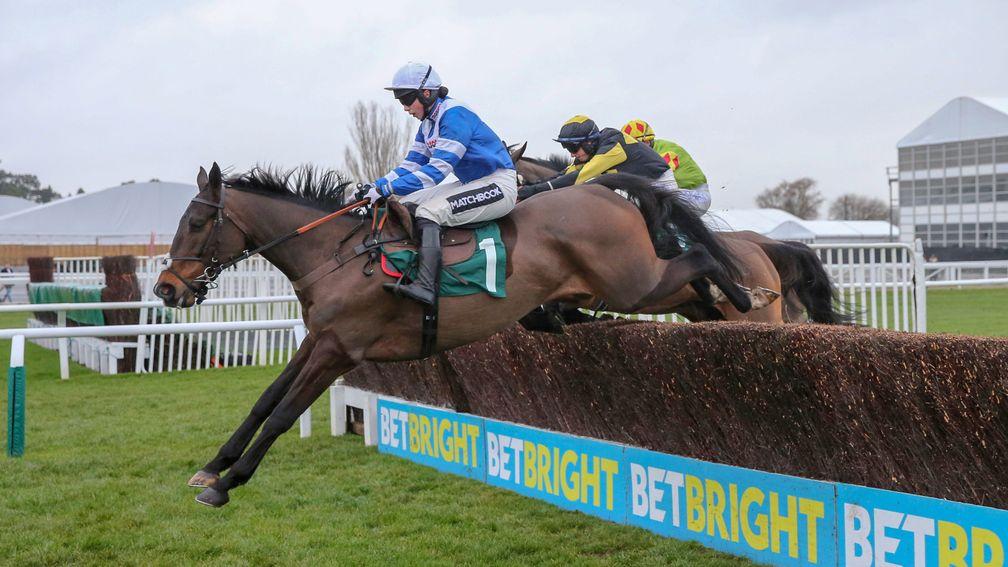 Frodon: the popular chaser is now Gold Cup-bound