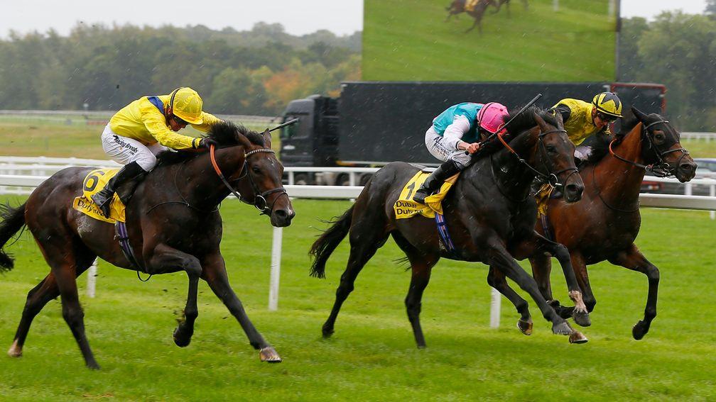 Mirage Dancer (centre) finishes second to Young Rascal (near side) in the Legacy Cup