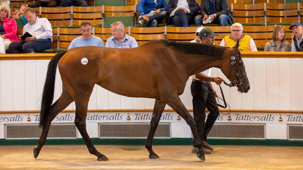 See The Rose: Group 3 winner, pictured selling at Tattersalls in July, is a new addition to the Denford broodmare band