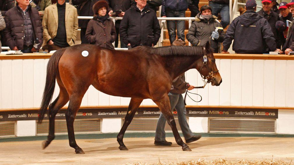 Dream Peace, the dam of Soul Sister, selling to Hugo Lascelles for 2,700,000gns at the 2013 Tattersalls December Mares Sale
