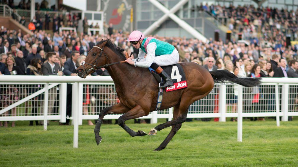 Kingman: exceptional on the track and now proving a fine stallion