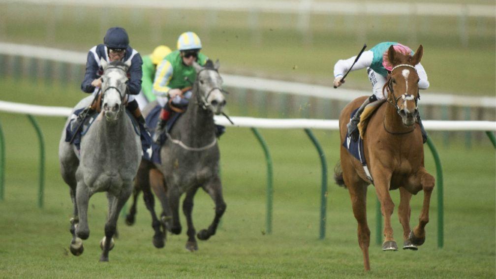 Hot Snap (right) beat Sky Lantern in the 2013 Nell Gwyn Stakes at Newmarket