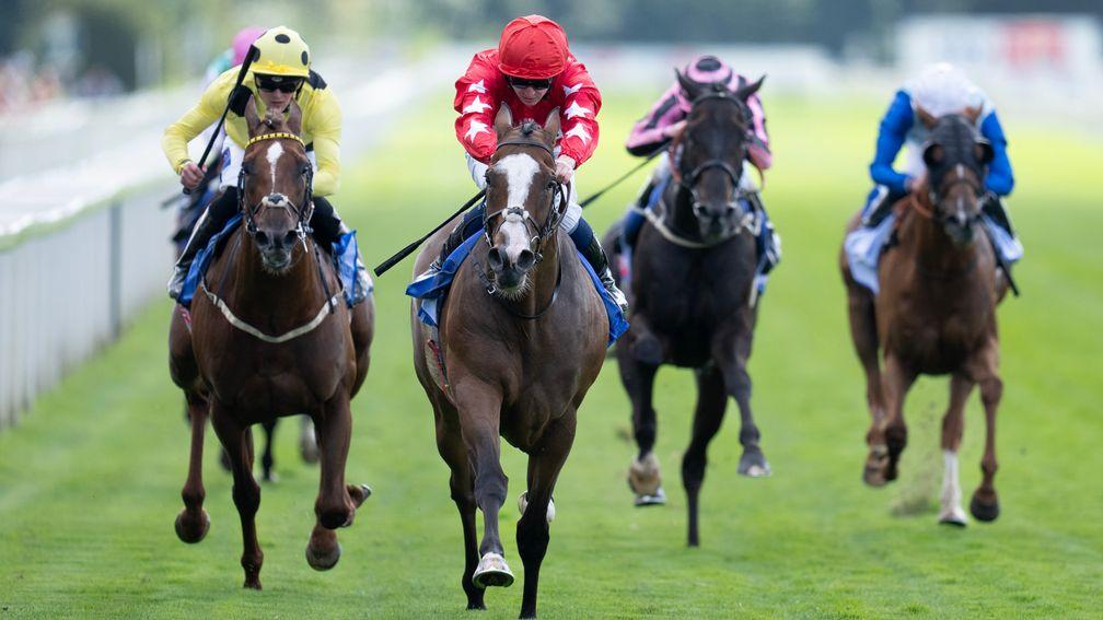 Spirit Dancer: set up a trip to Bahrain with victory in the Strensall Stakes
