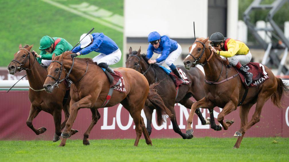 Awesome foursome: Torquator Tasso (yellow) comes to claim victory in the Prix de l'Arc de Triomphe, which was rated the best race of the year for 2021