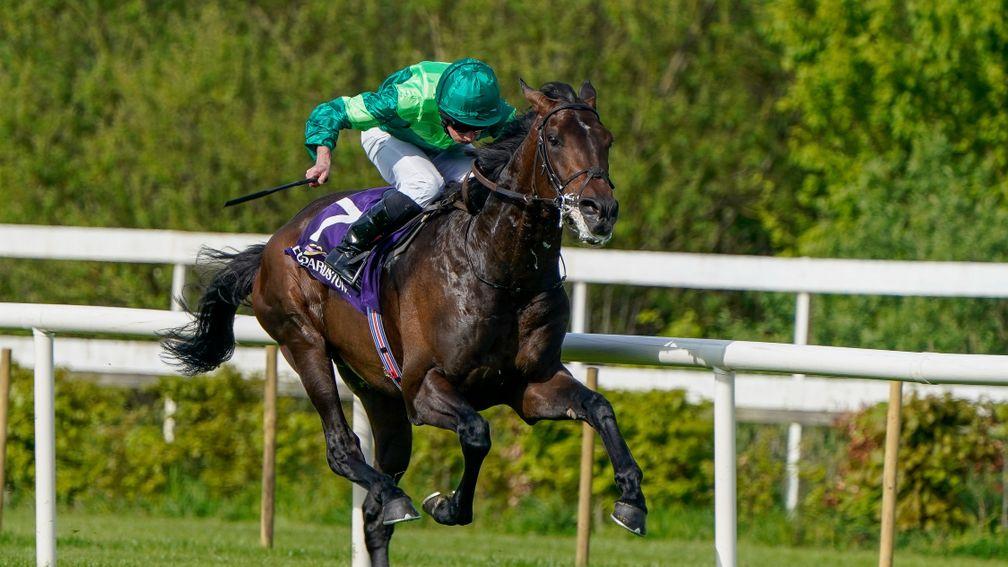 Stone Age: highly impressive winner at Leopardstown